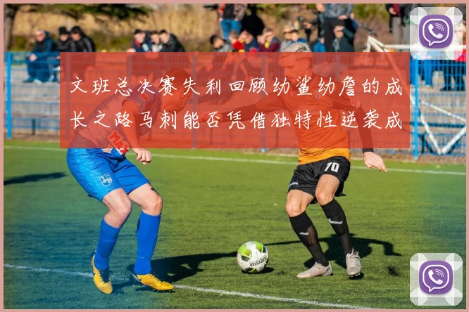 文班总决赛失利回顾幼鲨幼詹的成长之路马刺能否凭借独特性逆袭成功